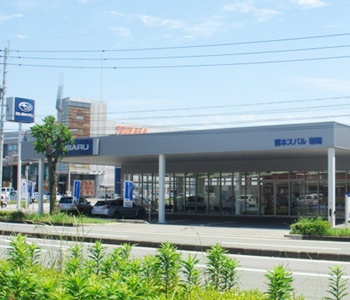 菊陽店